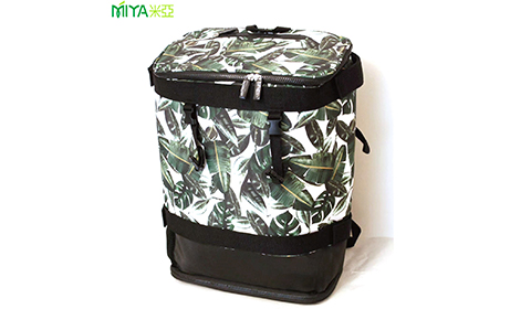 Cross border Amazon new printed backpack insulation bag with large capacity outdoor insulation and cold insulation bag, large capacity waterproof double-layer beach backpack, vacation bag